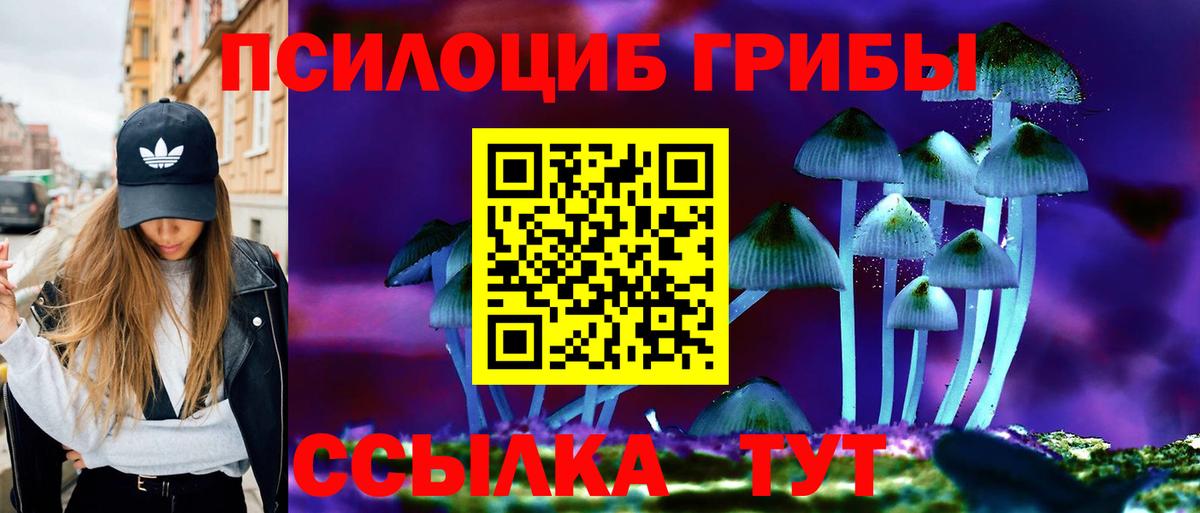 Рубцовск  Псилоцибиновые грибы MAGIC MUSHROOMS  Вход с VPN 