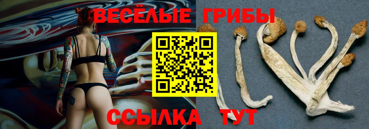 Псилоцибиновые грибы Magic Shrooms Рубцовск